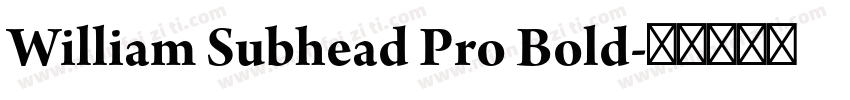 William Subhead Pro Bold字体转换
